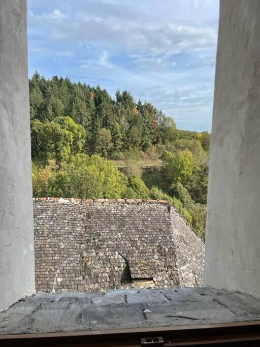 Maison De Village Avec Vue 4/5 Personnes Lou Rouchou Voutezac Eksteriør bilde